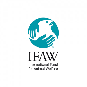 clients_ifaw clients_ifaw
