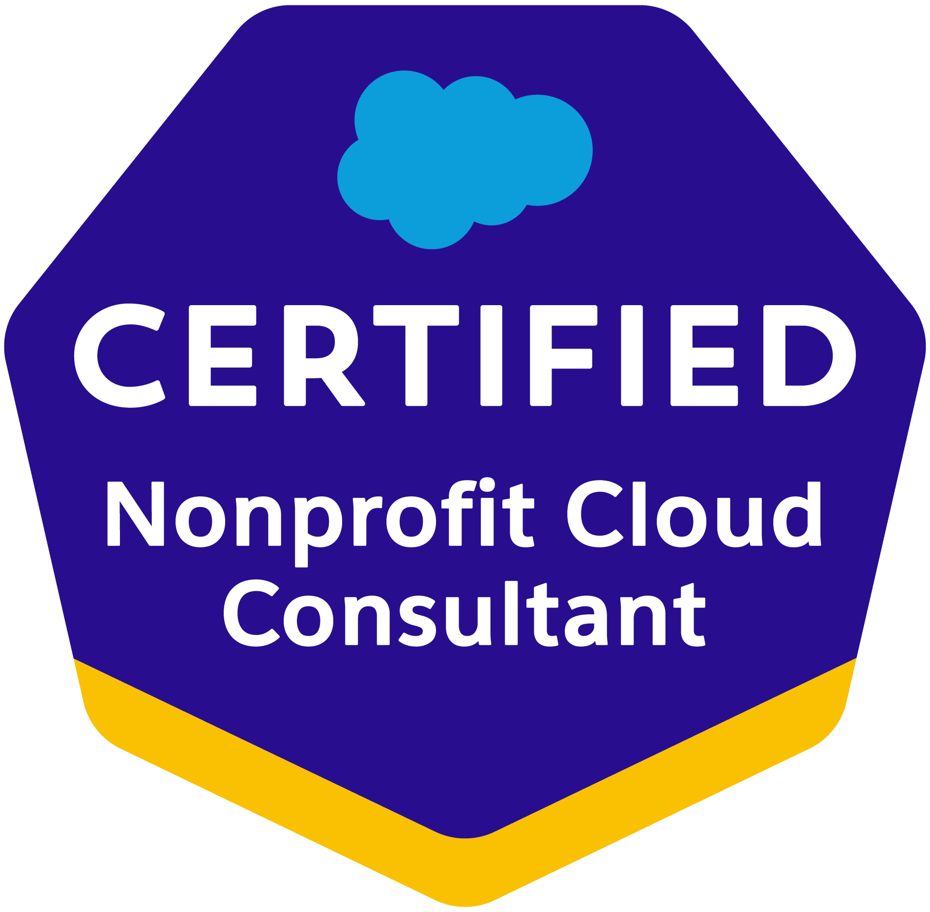 Nonprofit-Cloud-Consultant