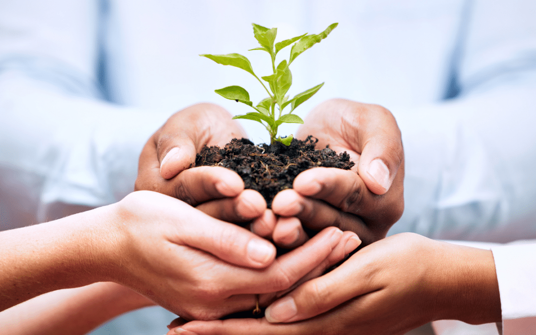 Out Teach Leverages Salesforce Managed Services
