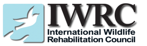 iwrc-logo-300x95